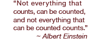 “Not everything that counts, can be counted, and
not everything that can be counted counts.” ~ Albert Einstein
